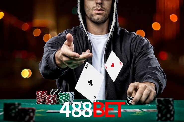 Servidor Brasil 488bet